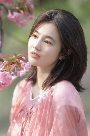 一母四女共一婿的全诗解读